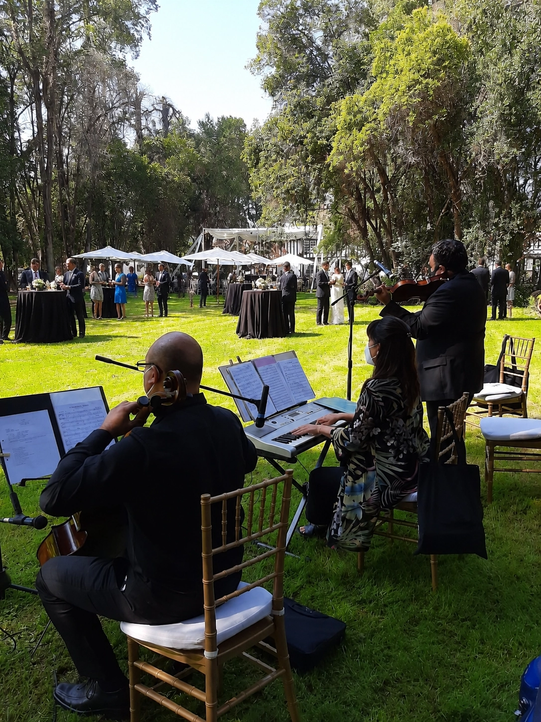 Angeli Músicos en cóctel de matrimonio - Música ambiental elegante en Santiago de Chile